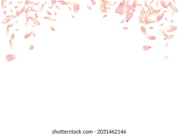 White Sakura Petal Vector White Background. Pink Free Lotus Petal Card. Flower Petal Delicate Template. Soft Apple Petal Congratulation.