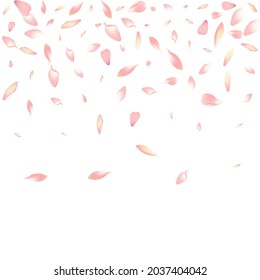 White Sakura Petal Vector White Background. Pastel Falling Apple Petal Backdrop. Cherry Petal Fall Card. Blossom Flower Petal Poster.