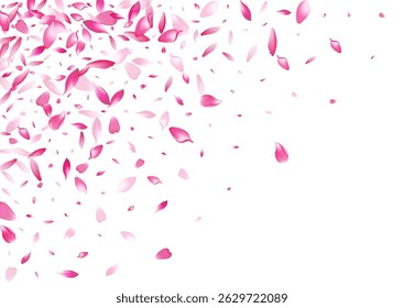 White Sakura Petal Vector White Background. Color Realistic Flower Petal Card. Cherry Petal Dream Pattern. Wedding Apple Petal Congratulation.