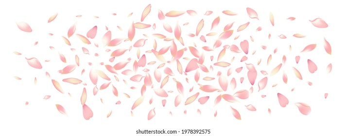 White Sakura Petal Vector Panoramic Background. Purple Soft Rose Petal Congratulation. Flower Petal Summer Template. Fly Peach Petal Frame.