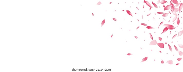 White Sakura Petal Vector Panoramic Background. Color Floor Flower Petal Banner. Cherry Petal Realistic Pattern. Romantic Peach Petal Texture.