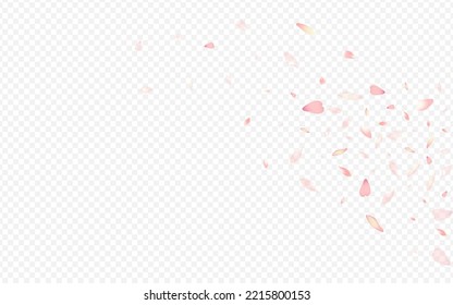 White Sakura Vector Transparent Background. Apple Springtime Card. Confetti Isolated Banner. Peach Air Cover. Light Bloom Garden Backdrop.