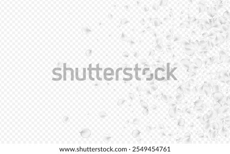 Similar – Image, Stock Photo Small white flowers shine from the darkness in the forest