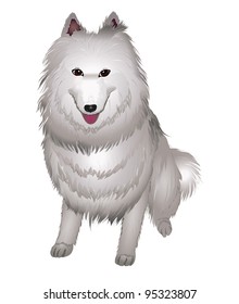  white Samoyed dog smiles. vector illustration eps 10