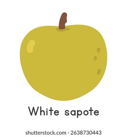 White sapote flat vector illustration. White sapote cartoon clipart style isolated on white background. Unusual and Lesser-Known Fruit concept