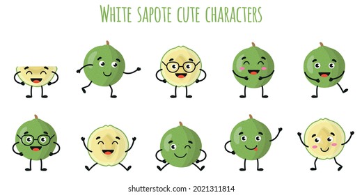 White sapote fruit cute funny cheerful characters with different poses and emotions. Natural vitamin antioxidant detox food collection. Vector cartoon isolated illustration. Children concept.