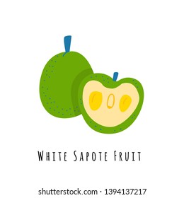White sapote fruit flat vector illustration. Cartoon slices of exotic, tropical fresh fruit. Clipart with typography. Isolated icon for healthy cooking menu, logo design element