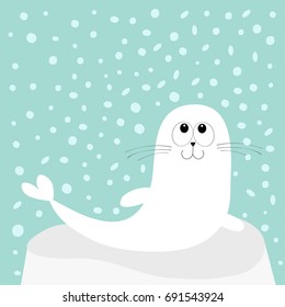 White sea lion. Harp seal pup lying on iceberg ice. Cute cartoon character. Happy baby animal collection. Sea ocean water. Blue snow flake background. Flat design Vector illustration