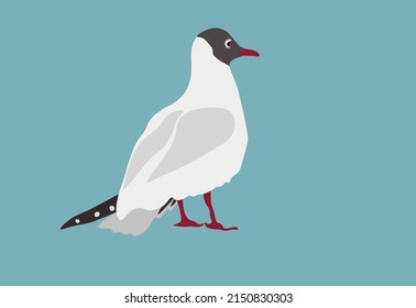 White Seagull  isolated on blue background. Sea bird cartoon icon set vector illustration. Suitable for postcard, advertising, stamp