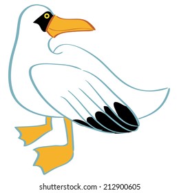 a white seagull on a white background