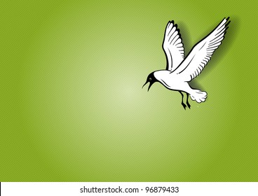 white seagull on the green background