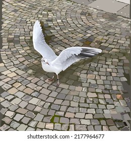 White seagull on paving slabs.