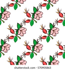 White seamless pattern with colorful dog rose flowers, berries and leaves. Briar. Garden plants for prints, design, scrapbook, fabric, clothes, wallpapers, textile, manufacturing, clothes, curtains.