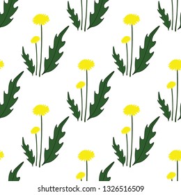 White seamless pattern with yellow dandelion flowers