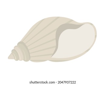 white seashell icon on white