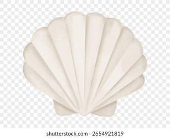 Aquarela de concha branca isolada no vetor de fundo branco.