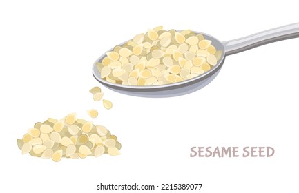 White sesame in metal spoon and seed pile isolated on white. Vector illustration of healthy food in flat, simple style. Cooking ingredient.