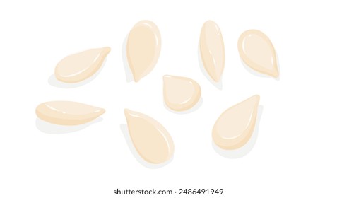 White sesame seeds isolated on white background in flat vector illustration.