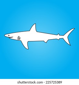 White shark 
