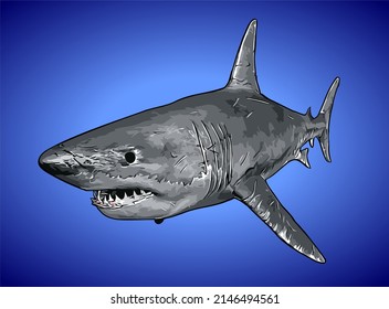 901 Shark swim team Images, Stock Photos & Vectors | Shutterstock