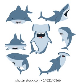  White Shark And Hammerhead Shark Vector Set