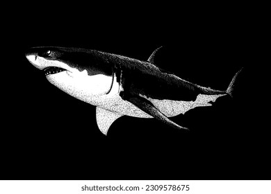 white shark hand drawing vector isolated on black background.