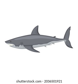 White shark isolated on white background. Cartoon character of ocean for children. Simple print with marine mammal. Design for any purposes. Vector illustration.