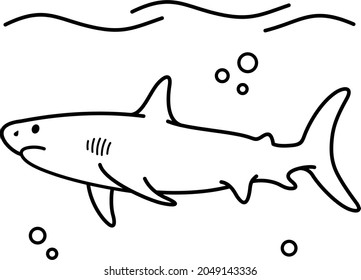 White shark marine predator. Vector outline illustration.