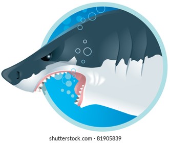 White shark on a water background