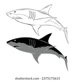 White shark swim, vector illustration isolated on white background