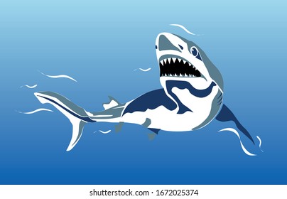 white shark vector illustration. Jaws
