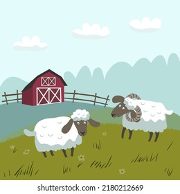 White sheep with black muzzles graze in a meadow. Red farm in the background. Vector flat illustration.