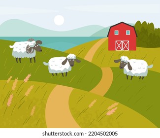 White sheep with black muzzles graze in a meadow. Red farm in the background. Vector flat illustration.