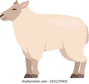 White sheep icon. Cartoon farm animal. Domestic fauna