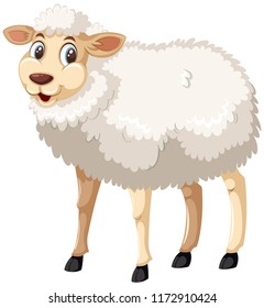 A white sheep on white backgroud illustration