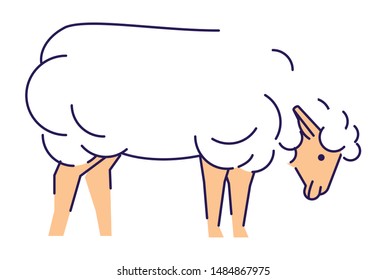 White sheep side view flat vector illustration. Livestock farming, domestic animal husbandry design element with outline. Merino ewe isolated on white background. Lamb meat, sheep wool production logo