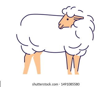 White sheep side view flat vector illustration. Livestock farming, domestic animal breeding, husbandry design element with outline. Merino ewe isolated on white background. Sheep wool production logo