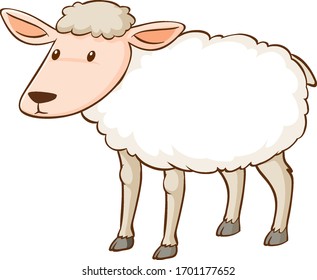 White sheep standing on white background illustration