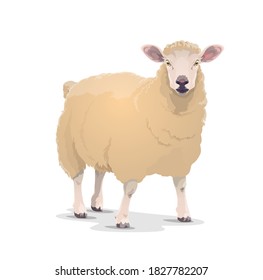 sheep side view drawing