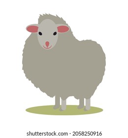 Dibujo vectorial ovino blanco aislado