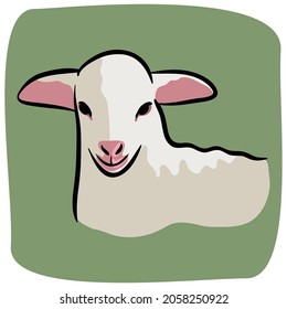 white Sheep vector illustration isolated