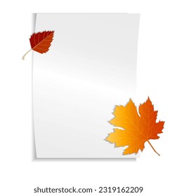 White sheet of A4 paper, with space for text, for your design. Next to the autumn maple leaf, autumn leaves, the concept of September 1, back to school, knowledge day, the beginning of learning