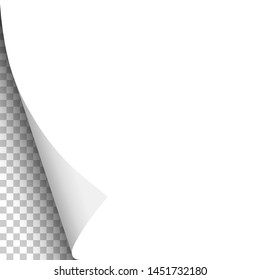 White sheet of paper with curled lower left corner. Vector paper template.