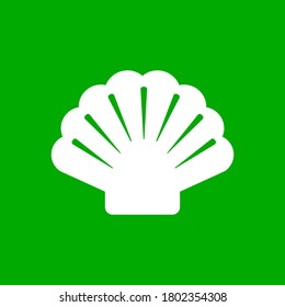 Concha blanca sobre fondo verde