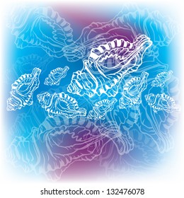 white shells on the blue water background