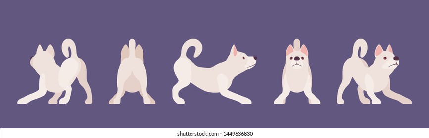 White shepherd dog playing. Working active breed, cute family pet, companion for disability assistance, search, rescue, police, military help. Vector flat style cartoon illustration, different views