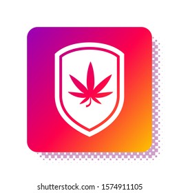 White Shield and marijuana or cannabis leaf icon isolated on white background. Marijuana legalization. Hemp symbol. Square color button. Vector Illustration