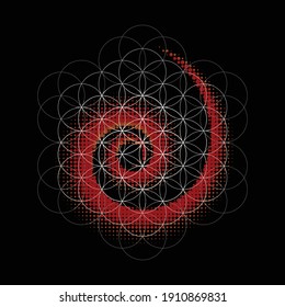 White shine lines flower of life isolated on black background. Magic symbol with astrology elements for sacred geometric wallpaper