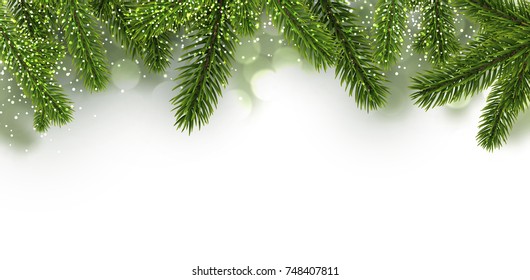 White shiny background with fir branches and snow. Vector illustration.