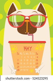 White Siamese cat in sunglasses with Cup of coffee. May calendar